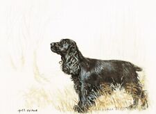 Black cocker spaniel for sale  WARWICK