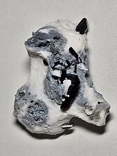 Neptunite mineral specimen for sale  Redwood City