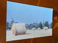 Straw bales wickham for sale  SANDOWN