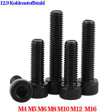 Zylinderschrauben Mit Linksgewinde 12.9 Stahl Innensechskant M4 M5 M6 M8 M10 M16 comprar usado  Enviando para Brazil
