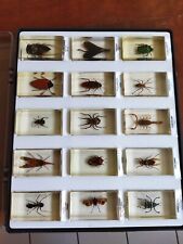 Coffret insectes inclusion d'occasion  Viriat