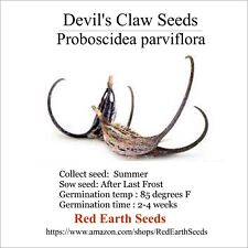 Devil claw seeds for sale  Tecumseh