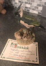 Teviotdale lapwing chicks for sale  GLASGOW