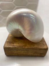 Large natural pearl for sale  New Braunfels