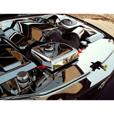 Tapa cubierta tanque de agua para Ford Mustang V6/GT 2005-2009 [acero inoxidable/pulido] segunda mano  Embacar hacia Argentina