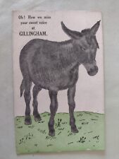 Donkey postcard greetings for sale  POTTERS BAR