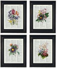 Botanical art prints for sale  Murfreesboro