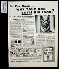 1943 ideal dog for sale  Stockton