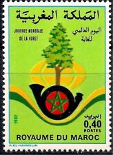 Marocco 1982 giornata usato  Italia