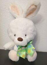 Bunny rabbit american for sale  Galveston