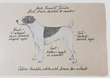 Decoração de prateleira DW Possum Designs Dog Jack Russell Terrier JRT Vivienne & Sponge comprar usado  Enviando para Brazil