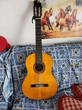 Chitarra classica elettrificat usato  Luzzi