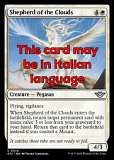 Mtg shepherd the usato  Italia