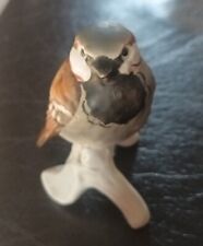 Goebel sparrow finch for sale  BRADFORD