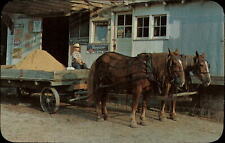 Amish horses wagon for sale  Sandusky