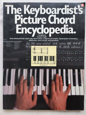 Keyboardist picture chord for sale  LIGHTWATER