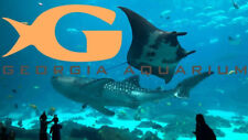 Georgia aquarium tickets for sale  Clearwater