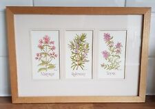 Framed picture herbs for sale  WAKEFIELD
