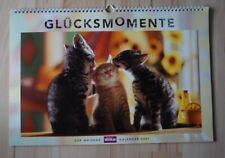 Glücksmomente katzen kalender gebraucht kaufen  Bad Birnbach