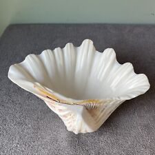 Vintage giant clam for sale  Lyndonville