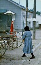 Amish girl wagon for sale  Sandusky
