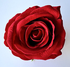 Red velvet rose for sale  Highland