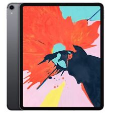 Apple ipad pro gebraucht kaufen  Ginsheim-Gustavsburg