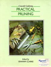 Practical pruning pratica usato  Italia