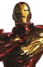 Iron man variant usato  Vittoria