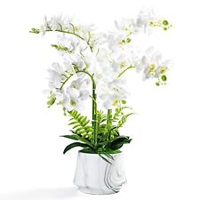 Artificial orchid plants for sale  USA