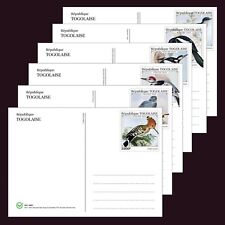Cartões de papelaria Togo 2022 MNH pássaros europeus conjunto de 6 cartões 100% papel reciclado comprar usado  Enviando para Brazil