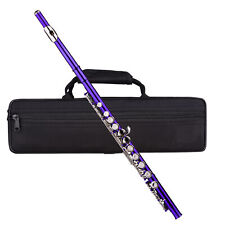 Closed hole flute for sale  SOUTHALL