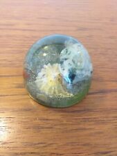Vintage lucite paperweight for sale  ST. LEONARDS-ON-SEA