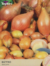 Grow shallots biztro for sale  ST. AUSTELL