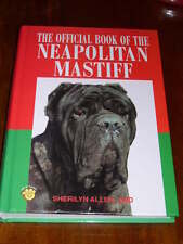 Rare neapolitan mastiff for sale  WARRINGTON