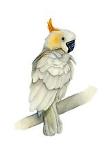 Yellow crested cockatoo for sale  YEOVIL