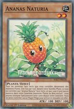 Yu-Gi-Oh! Ananas Naturia : C HAC1-FR118 comprar usado  Enviando para Brazil