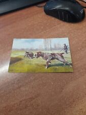 Cartolina cani caccia usato  Brescia