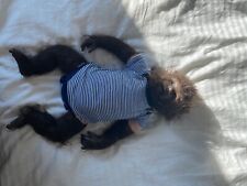 Pup reborn doll for sale  HAMILTON