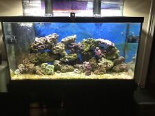 reef ready aquarium for sale  South Richmond Hill