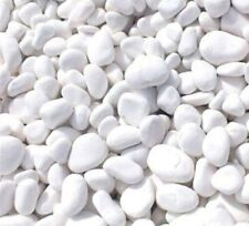 Polar white pebbles for sale  POOLE