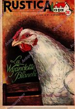 Wyandotte blanche chicken d'occasion  Expédié en Belgium