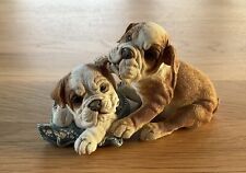 Country artists bulldogs for sale  STOWMARKET