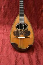 Calace mandolin labeled usato  Modena