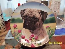 Pug dog collectable for sale  Altoona