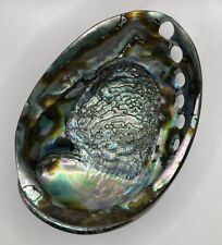 Vtg Large Red Abalone Haliotis Rufescens Sea Shell Seashell for sale  Shipping to South Africa