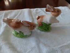 Kaldun bogle rabbits for sale  Milford