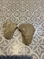 Pierre fossiles anciens d'occasion  Livry-Gargan