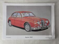 Jaguar art print for sale  COLCHESTER