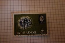 Barbados cents sea for sale  PONTEFRACT
